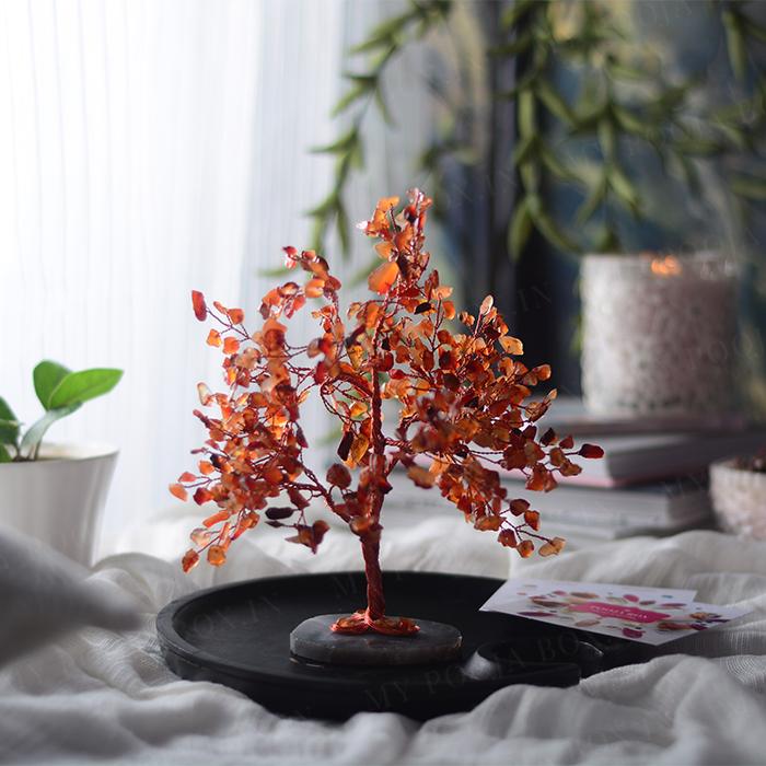 Carnelian Crystal Feng Shui Tree for Prosperity